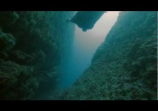 The underwater human flight experience.